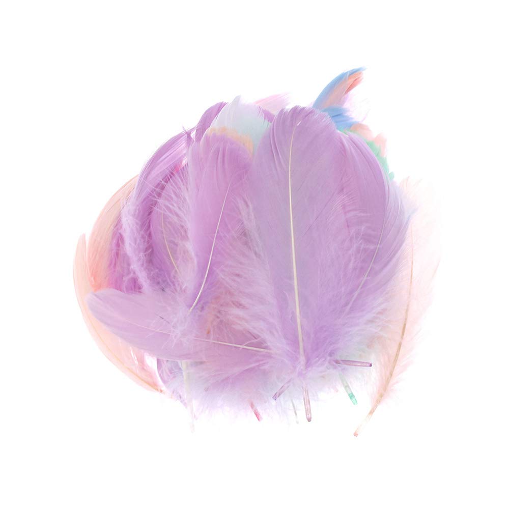 Tianayer 100Pcs Colorful Goose Feathers Wedding Party Home Jewelry Decoration Feathers DIY Crafts Hair Accessories Feathers(multicolor)