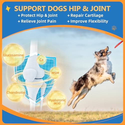 Dog-Multivitamin-Powder-with-Glucosamine-Dog-Vitamins-and-Supplements-for-Immune-Support-Dog-Skin-and-Coat-Supplement-with-Omega-3-for-Allergy-Relief-Probiotics-for-Dog-Support-Digestive-Health Dog Multivitamin Powder with Glucosamine Dog Vitamins and Supplements for Immune Support Dog Skin and Coat Supplement with Omega 3 for Allergy Relief Probiotics for Dog Support Digestive Health