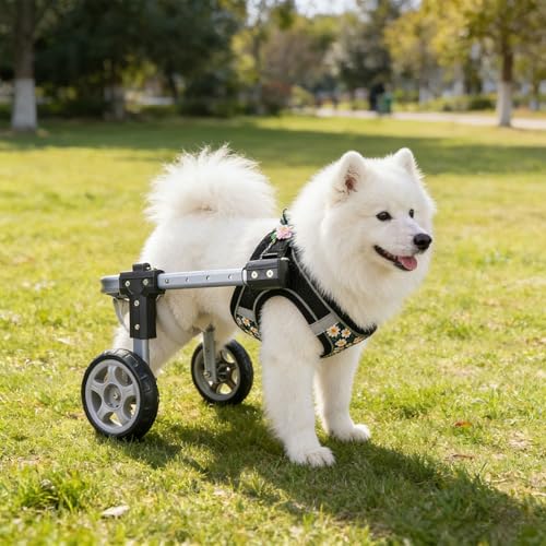 Silla de ruedas para perros de dos ruedas para disfrutar de paseos al aire libre 6