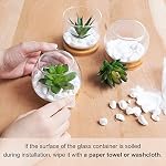 Mkono Artificial Succulent in Clear Glass Pot, Set of 3 Mini Potted Fake Plants for Women Office Decor Small Faux Green Plant with BambooTray for Bookshelf Bathroom Kitchen Decor Tabletop Centerpiece