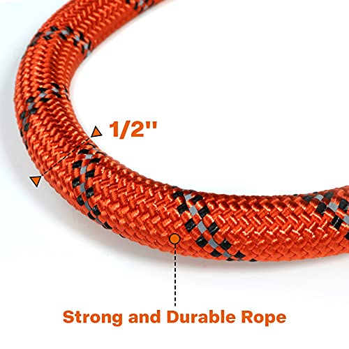 Image of Taglory Rope Dog Leash for Medium Large Dogs, 6 FT Padded Handle, Orange