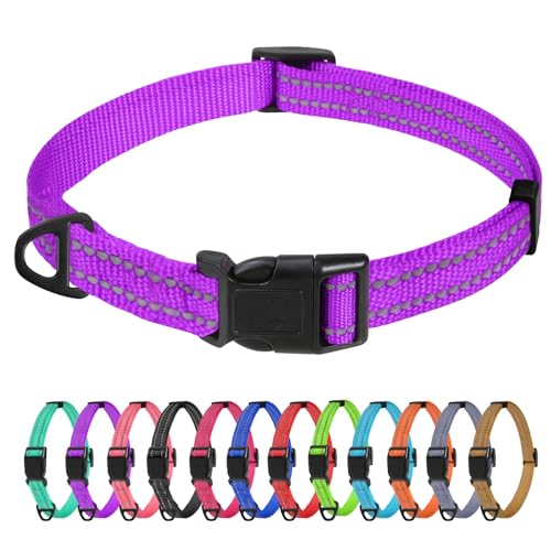 TagME Collare per Cani in Nylon Riflettente, Fibbia Staccabile Durevole, Collari Di Sicurezza Regolabili per Cani Di Taglia Piccola, Viola, Larghezza 1.5 cm