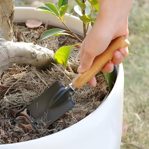 Image of Go Garden 3 Pcs Gardening Hand Tool Kit for Home Gardening | Hand Cultivator, Trowel, Transplanter | Perfectly Sized for Home Garden | Ideal for Flower Pots and Lawns