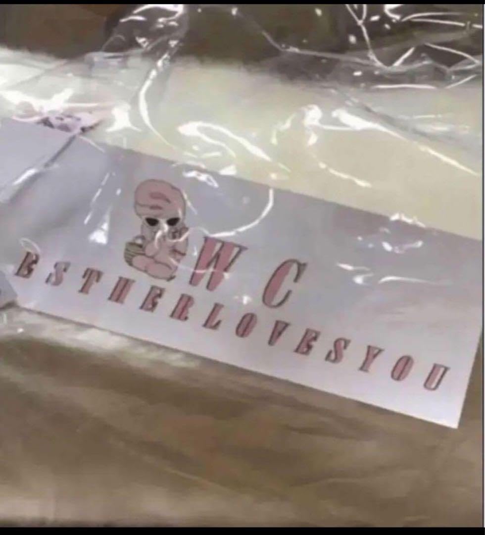 WC  エスターキム コラボ限定 ぬいぐるみクッション抱き枕 新品未開封タグ付き Amazon.co.jp: WC エスターキム コラボ ぬいぐるみクッション