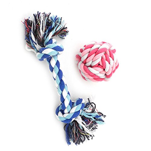 Ranphy Lot de 2 jouets en corde pour petit chien ou chat pour entraînement et jeu de dentition de chiot balles comme fil dentaire S Cover