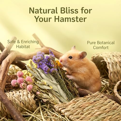 Image of Sukh Natural Hamster Bedding Sprays - Floral Forage Cage Accessories