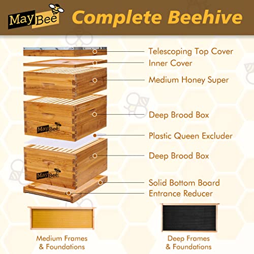 10-Frame Langstroth Beehive Dipped in 100% Beeswax, Complete Bee Hives and Supplies Starter Kit Includes 2 Deep Hive Bee Boxes and 1 Bee Hive Super with Beehive Frames and Foundations