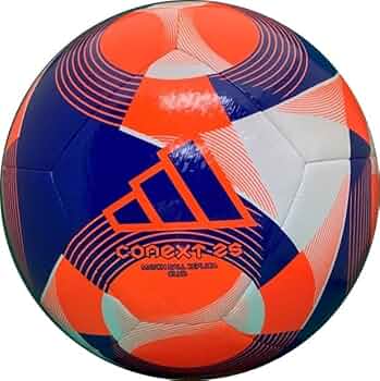 51i8wsqF1FL._AC_UF350,