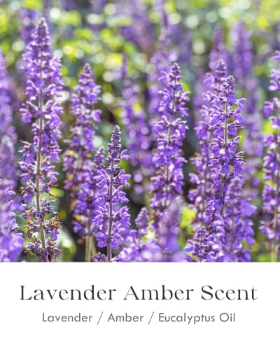 Image of AOOVOO Lavender Amber Candles for Relaxation - 2 Pack Scented Candle