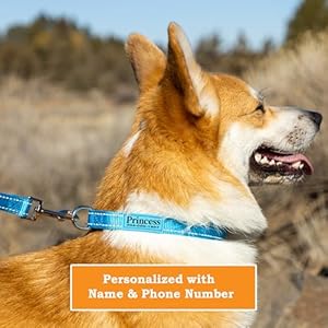 Pawblefy Personalized Dog Collars  Reflective Nylon Collar Customized with Name and Phone Number Adjustable Sizes for Small Dogs Medium Large 4 Colors Male Female Boy Girl Puppies  Cucciolini Doodles Pawblefy personalized dog collars  reflective nylon collar customized with name and phone number adjustable sizes for small dogs medium large 4 colors male female boy girl puppies   cucciolini doodles