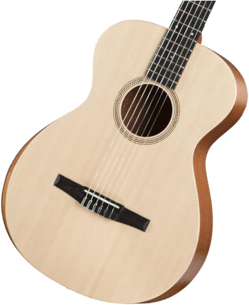 Amazon | Taylor/Academy 12e-N (A12e-N) エレガット テイラー Amazon | Taylor/Academy 12e-N (A12e-N) エレガット テイラー