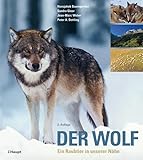 Haupt Verlag AG