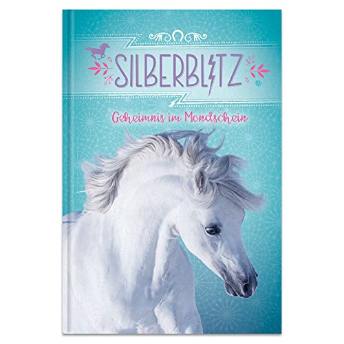Preisvergleich Produktbild Silberblitz - Geheimnis im Mondschein: Eine magische Geschichte über die Freundschaft zwischen einem Pferd und einem Mädchen (Ferienlesebücher, Band 3)