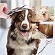 Thoquene Hunde und Katzen Fellschere Hunde Schere, Hundeschere Hundehaare Gebogen, Haustier Kamm aus Robustem Edelstahl
