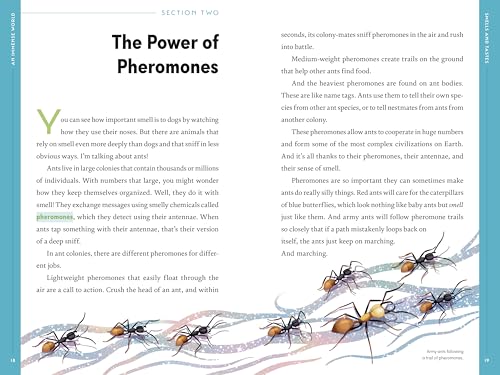 An Immense World (Young Readers Edition): How Animals Sense Earth's Amazing Secrets - Image 2