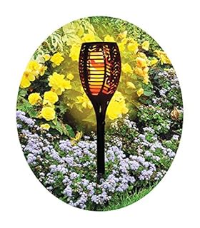 UPC 810447026248 product image for Shawhshank LEDz Ceramic Black 12-36