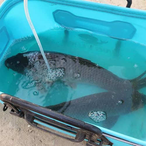 Boîte à matériel de pêche pliable compacte avec poignée ergonomique - 5
