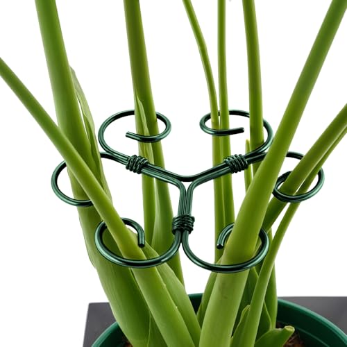 Yeomant 4PCS Green Iron Monstera Support Uniquely Designed Plant Support Stakes for Indoor Plants Stable Plant Stakes and Supports Turtle Shell Bamboo Clamp Set for Thriving Growth