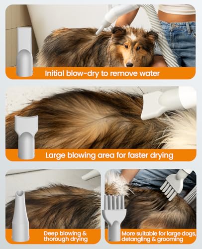 Oneisall Dog Dryer For Fast Blow-Drying,4-In-1 Quiet Dog Blow Dryer For Grooming With Adjustable Wind Speed&Temperature,Perfect For Small & Large Dogs At Home,Ideal For Quick&Efficient Drying thumb #5