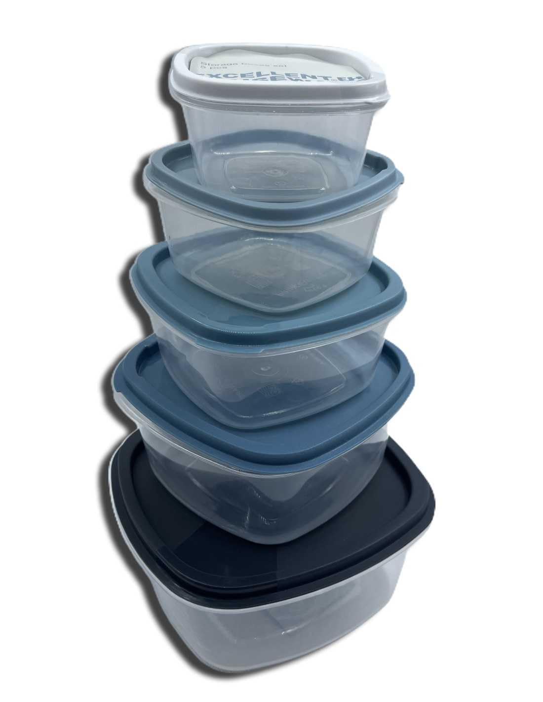 Homaxa Excellent Houseware Food Storage Box | Set of 5 | Refrigerator Storage, Vegetables and Fruits Food Storage Box With Silicone Lid | Multicolor