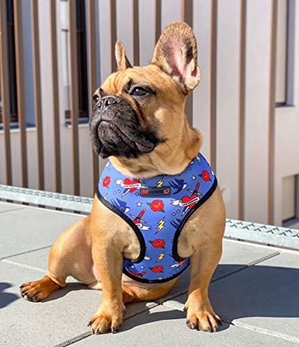 love frenchie harness