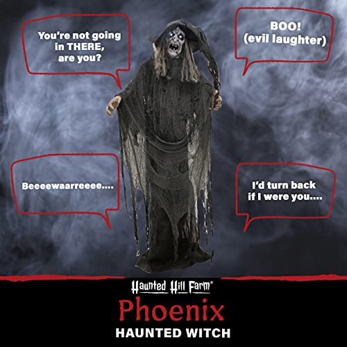 Haunted Hill Farm Life-Size Animatronic Scary Talking Witch with Touch Activated Lights and Sound, Indoor or Covered Outdoor Creepy Halloween Decorations for Home or Haunted House, Battery Operated