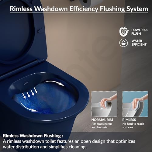 Image of Plantex Imported Ceramic Western Commode /P Trap Wall Hang Commode for Toilet /Rimless Washdown Western Toilet with Soft Close Toilet Seat (1166 - Porshe Blue)