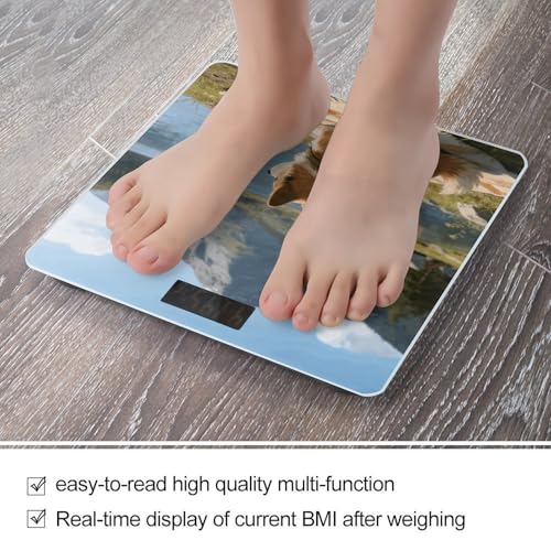Báscula digital de baño Camping Journal 400 lb miniatura 5