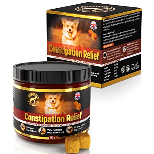 GastroBalance linderung verstopfung beim Hund – 60 weichen kausnacks abführmittel für Hunde 100% natürliche Wirkstoffe (Bacon-Geschmack)