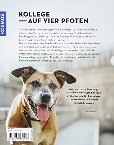 Bürohunde: Vorbereitung, Absprachen und Training