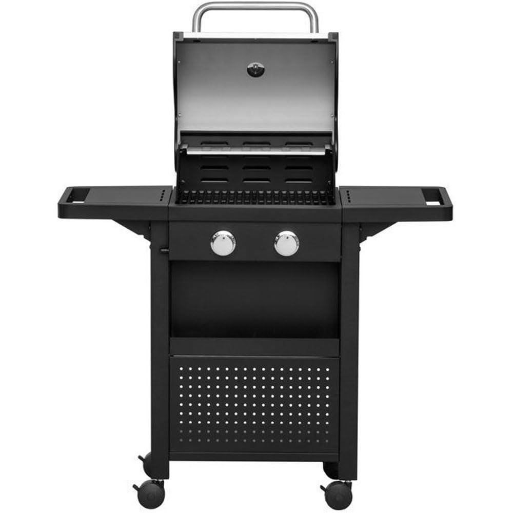 Barbecue a Gas Professionale Acciaio Inox 2 Fuochi con Termometro e Ruote Bloccabili