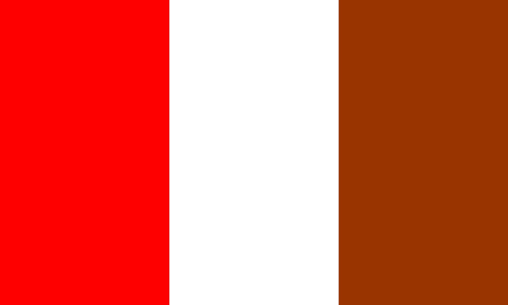 Drapeau Vilnohirsk grand format Ukraine Dnipropetrovsk Oblast textile