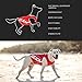 EzyDog Rashguard Vest - Premium Dog Shirt Allowing All-Day Water Use - Tested to Provide 50+ UV Protection - Innovative Design for a Snug, Comfortable Fit (Large, Red)