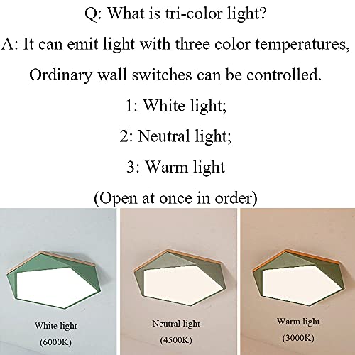 Luminaire de plafond LED style ferme moderne pour décorer la chambre