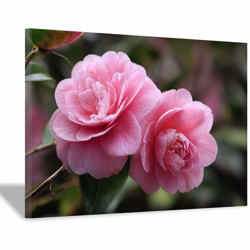ZAMAEIU Natural Scenery Painting Camellia Pair Pictures Artwork, Contemporary Wall Art Large Size, Room Aesthetic Home Decor,Living Room,Bedroom(pink)-60x90cm Framed