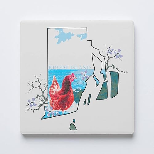 Rhode Island State Coaster, Joyride Home Decor - Posavasos de cerámica individual, posavasos cuadrado individual de 4 pulgadas, parte trasera de
