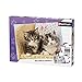 Nathan - Puzzle Enfant - Puzzle 100 p - Duo de chatons - Dès 6 ans - 86766