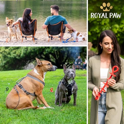 ROYAL-PAW Dog Tie Out Stake - for Large Dogs up to 210 lbs - Heavy Duty Dog Stake for Yard, Beach & Camping Outside - Best in Ground Anchor for a Dog Cable, Leash, Lead or Tether (R1-Crimson Red) - Image 5
