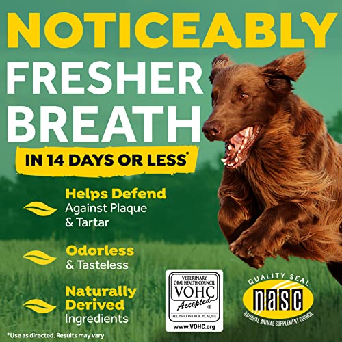 Tropiclean Fresh Breath Original Dog Dental Water Additive - Dog Breath Freshener For Clean Teeth, 33.8 Ounce (Pack Of 3) #TOP3