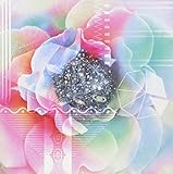 たしかなうた 歌詞