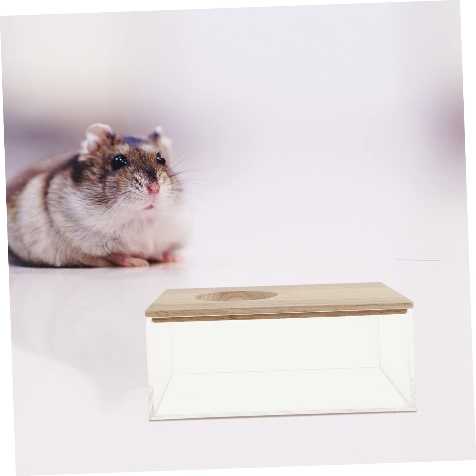 Milisten Transparente Hamsterbadewanne mit Sandbad und Praktischem Design