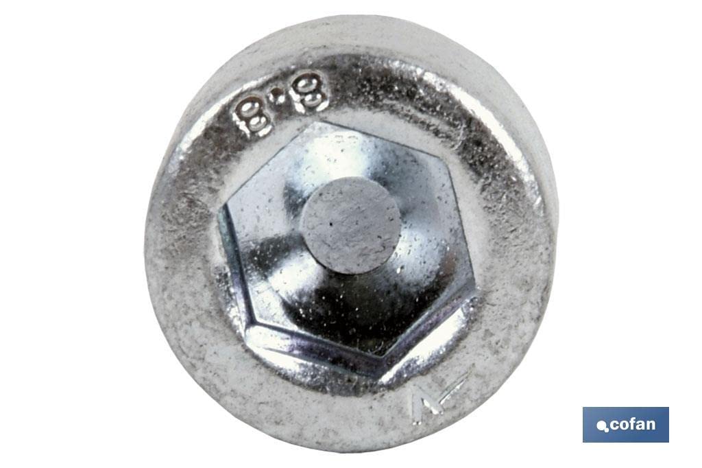 COFAN 00220840Z T. Din 912 C.8.8 Zincado, Din-912 C-8.8 M-8 X 40 Z for DIYers & Professionals - Image 2
