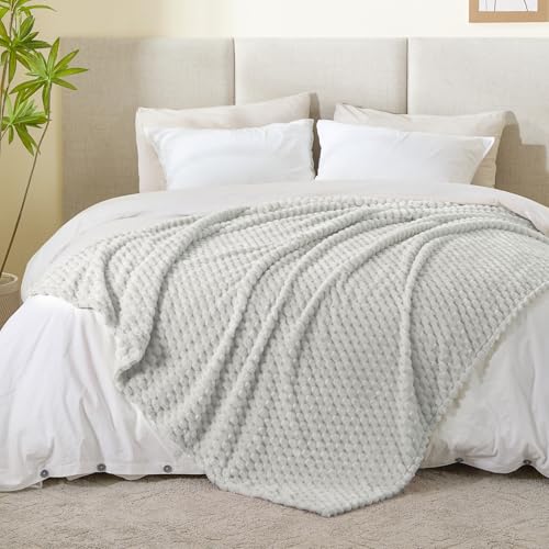 Image of BEDELITE Light Grey Throw Blanket for Couch, Soft Gifts for Women, 50 * 60