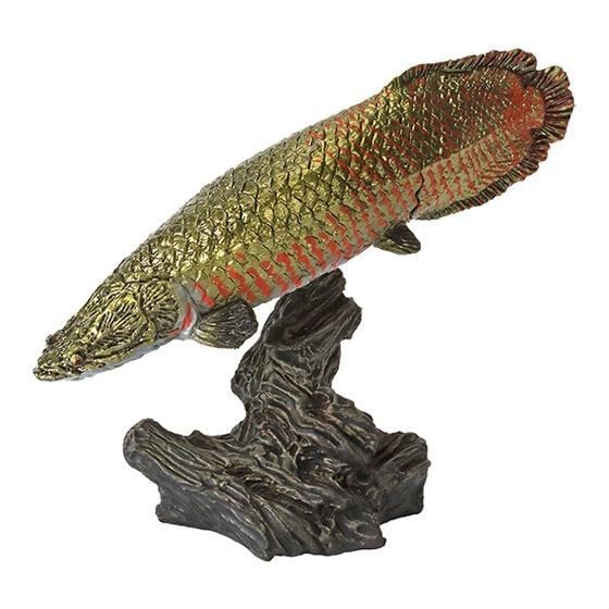 Amazon.co.jp: ピラルクー いきもの大図鑑ミニコレクション 古代魚 02