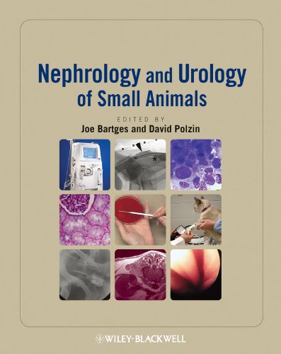 Nephrology and Urology of Small Animals 1st Edition