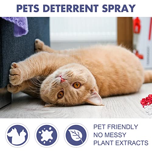 Sofa Spray – Die 15 besten Produkte im Vergleich - HundeINFOPortal