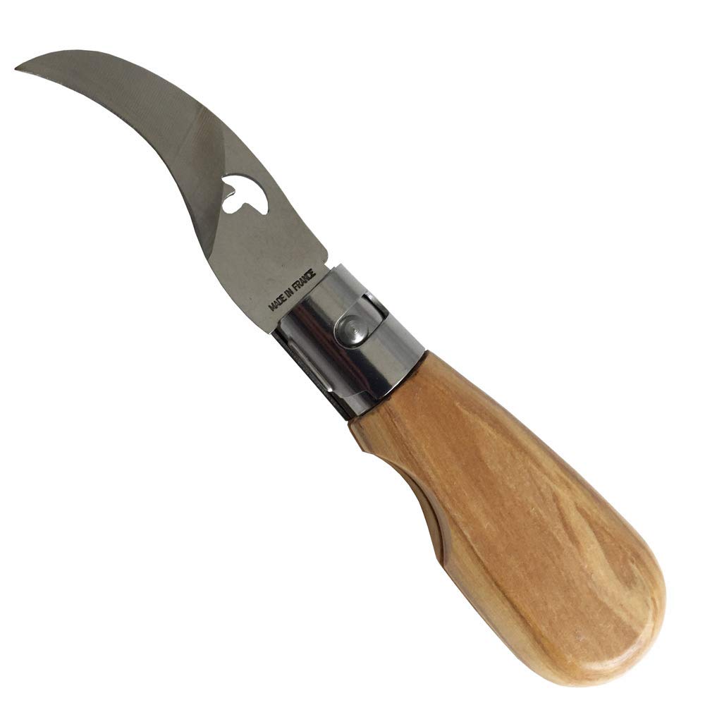 Couteau à champignon pliant manche en chêne