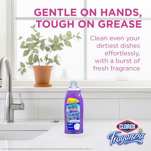 Image of Clorox Fraganzia Liquid Dish Soap, Lavender Scent, 22 Oz, 2 Pack | Cuts through tough grease fast, quick-rinsing formula, washes away grime, powerful daily clean, gentle
