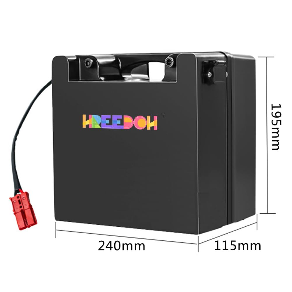 Batería para Silla de Ruedas eléctrica de 24 V, LiFePO4, 12 Ah, 15 Ah, 20 Ah, 30 Ah, 45 Ah y 50 Ah, para Motor de 0 a 1200 W con Cargador.