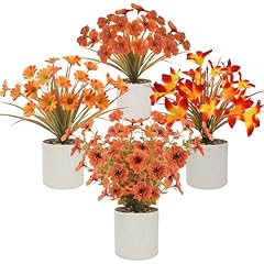 Red Yellow Dark Orange Light Orange